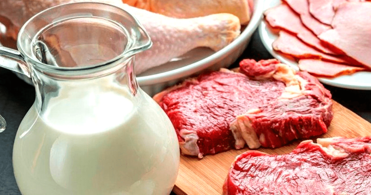 Кыргызстан будет продавать молоко и мясо в Узбекистан