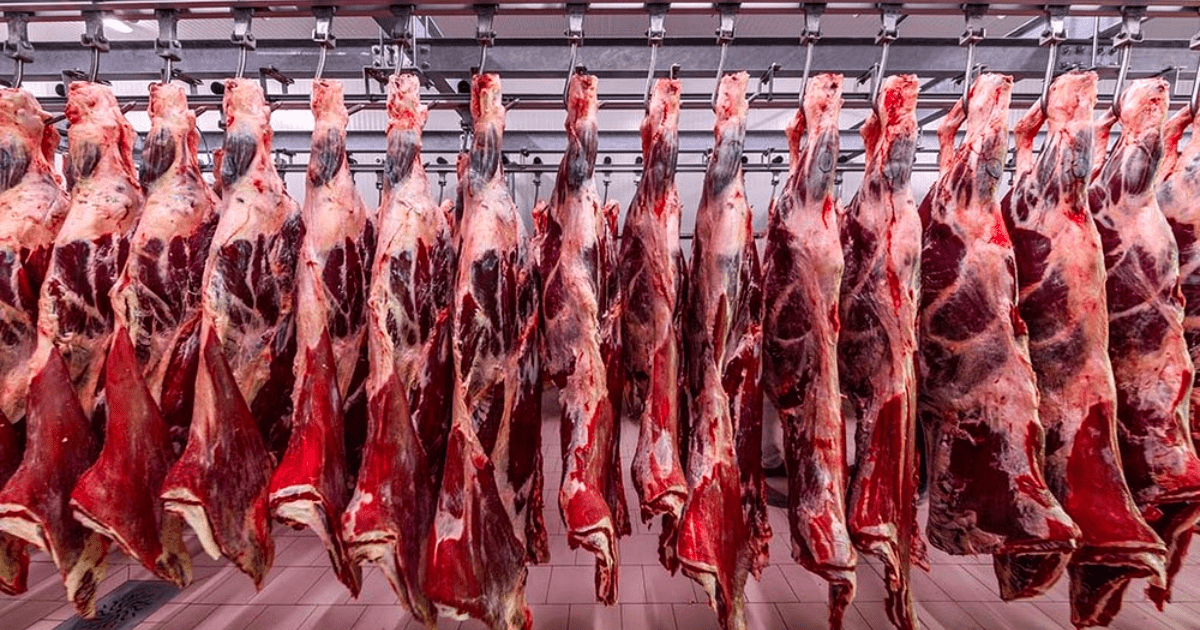 В Кыргызстане создадут фермерские хозяйства для продажи мяса исключительно в ОАЭ