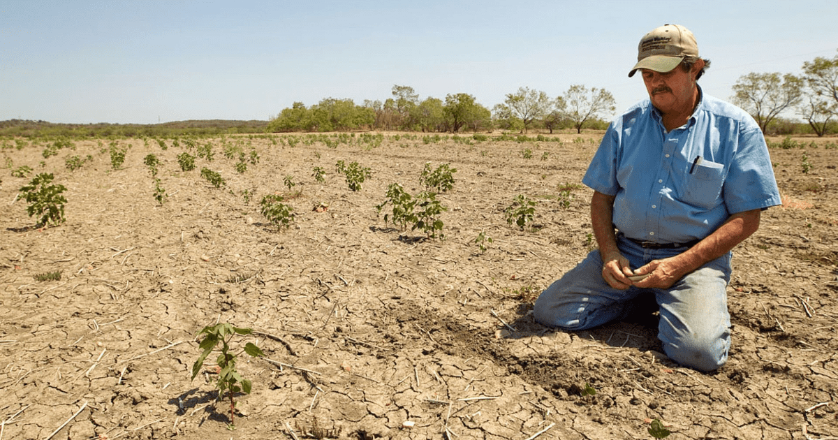 Эрозия почв обрекает кыргызстанцев на трудовую миграцию