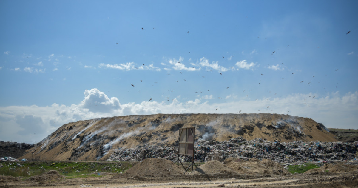 Эксперты из Чехии оценивают ситуацию с мусором в Бишкеке