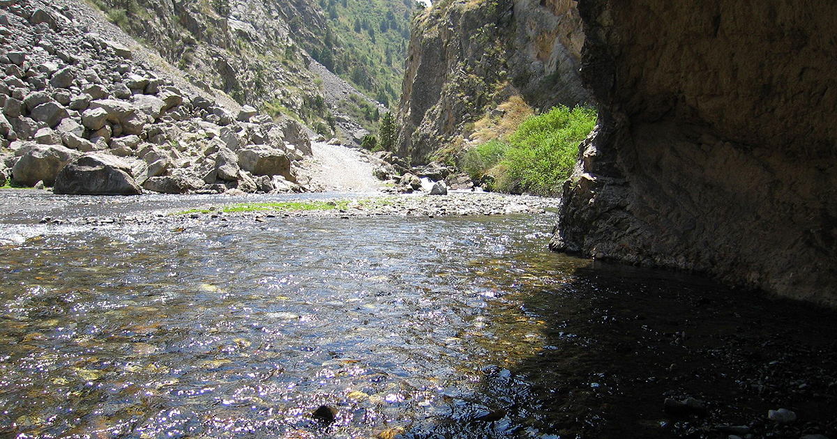 Минсельхоз хочет потратить 10 млн сомов на проект переброса реки в Ошской области