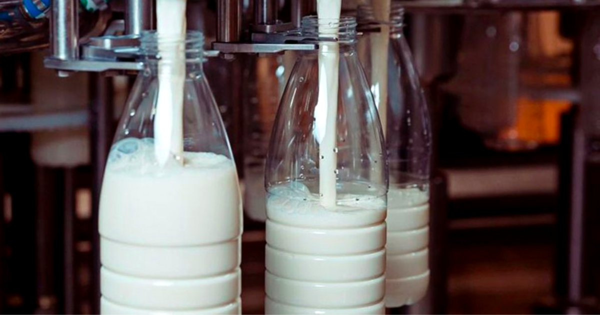 Из-за запрета экспорта молока в Россию будет избыток продукции — Ассоциация АПК бьет тревогу из-за решения Россельхознадзора